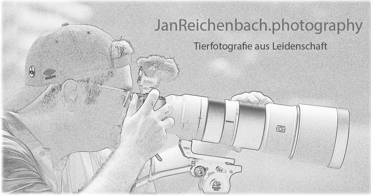 Tierfotografie aus Leidenschaft