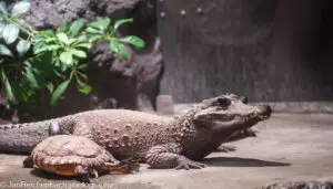 Fotosession im Tierpark Hellabrunn im Dezember 2025