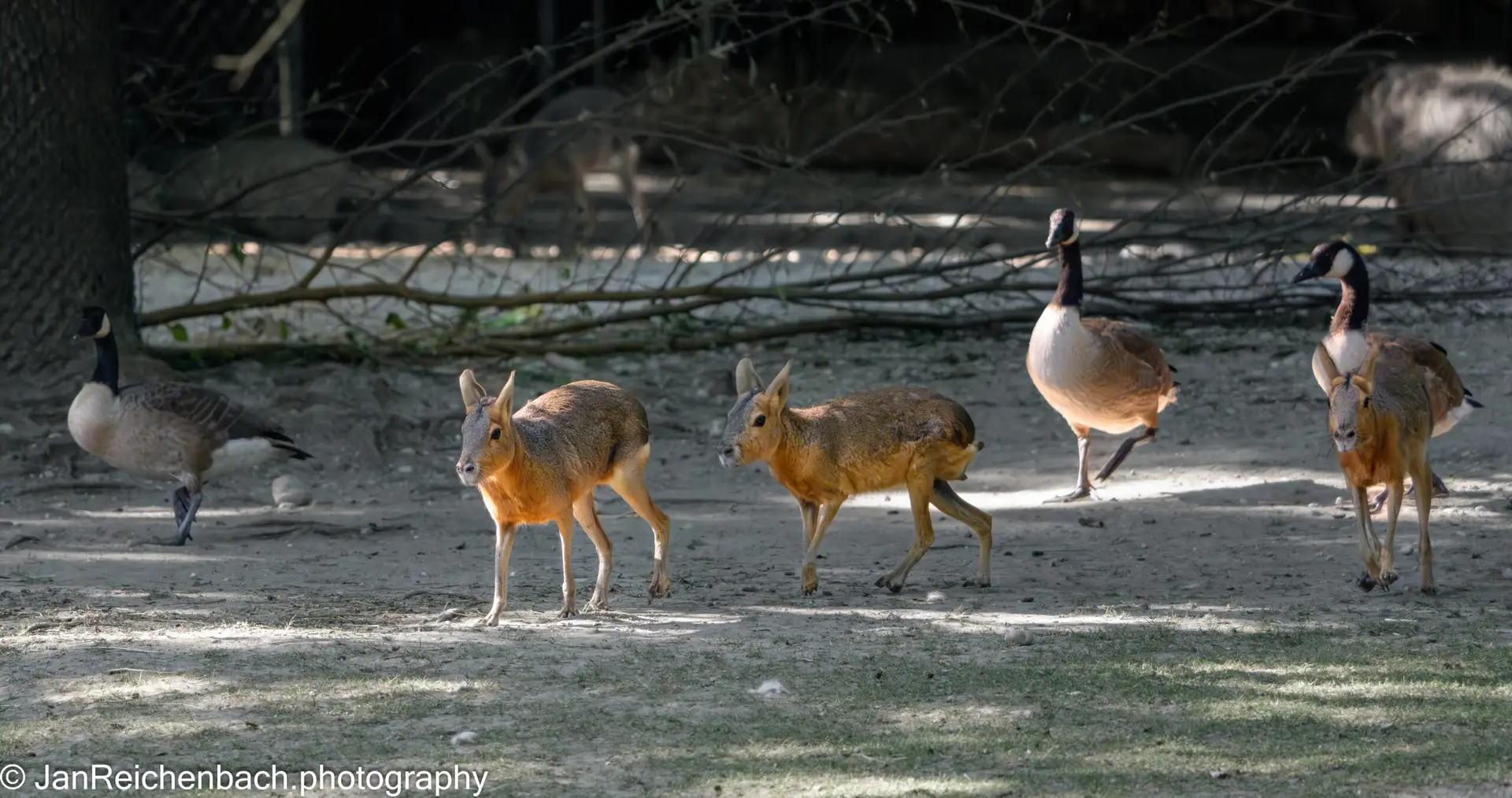 Artenvielfalt im Tierpark Hellabrunn am 25.07.2026