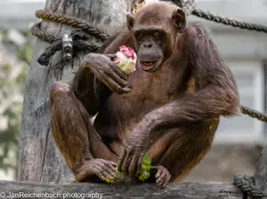 Sommer Ferienbeginn im Tierpark Hellabrunn 2026